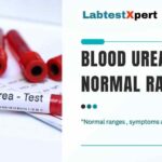 Blood Urea Normal Range