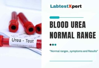 Blood Urea Normal Range