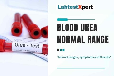 Blood Urea Normal Range